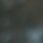 Robalo en salsa de tamarindo