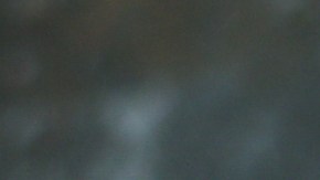 Robalo en salsa de tamarindo