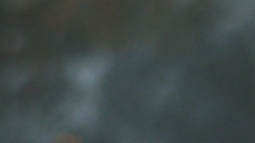 Robalo en salsa de tamarindo