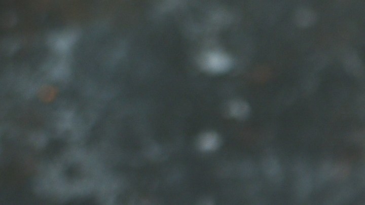 Robalo en salsa de tamarindo