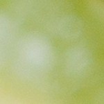 Un plato decorativo con porciones de taco dorado de barbacoa