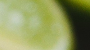 Un plato decorativo con porciones de taco dorado de barbacoa