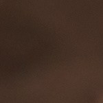 Taco dorado de cochinita pibil