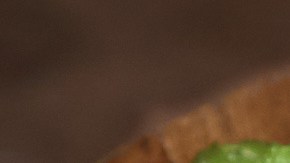 Taco dorado de cochinita pibil