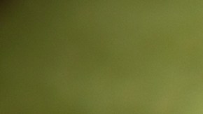 Calabacines rellenos de ricotta