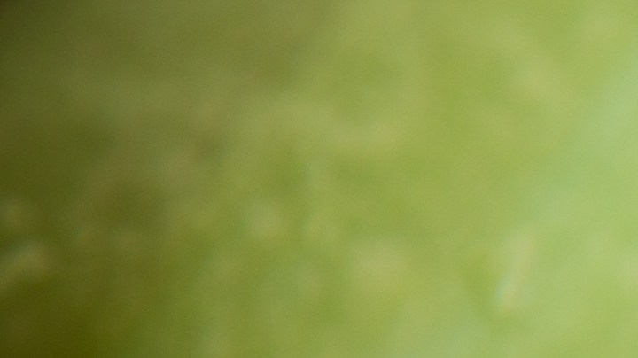 Calabacines rellenos de ricotta