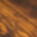 estofado casero de calamares