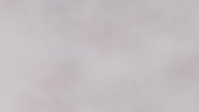 Bandeja de carne con papas en guiso para el menú semanal