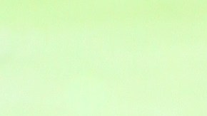 Pechuga de pollo a la plancha con guacamole