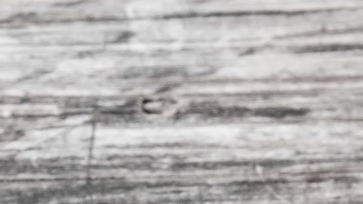 Pechuga de pollo a la plancha con pimientos de piquillo