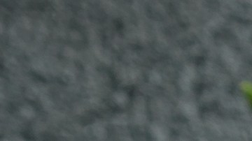 Una sartén con salchichas de lentejas veganas y verduras sobre una mesa gris