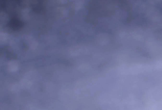 Pechugas de pollo a la plancha con especias cajún