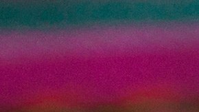 Flautas de tinga de pollo