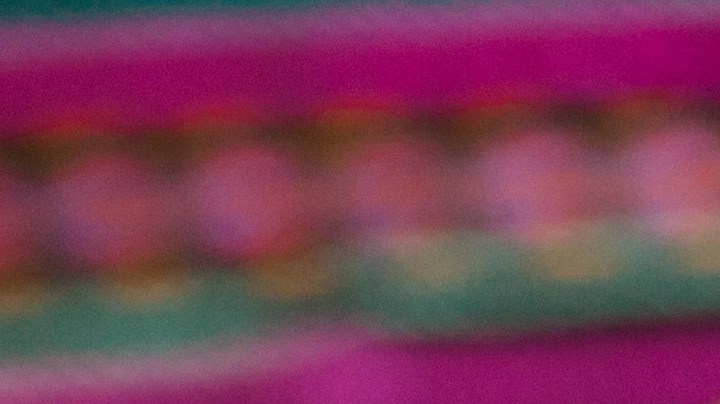 Flautas de tinga de pollo