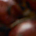 Pechugas de pollo a la plancha con salsa de vino blanco