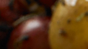 Pechugas de pollo a la plancha con salsa de vino blanco