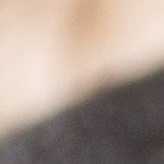 Pechugas de pollo a la plancha con cebolla caramelizada