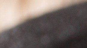 Pechugas de pollo a la plancha con cebolla caramelizada