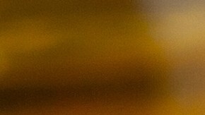 Osobuco con salsa de tomate