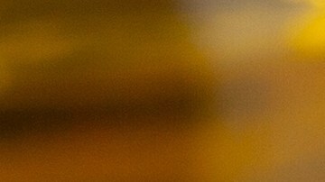 Osobuco con salsa de tomate