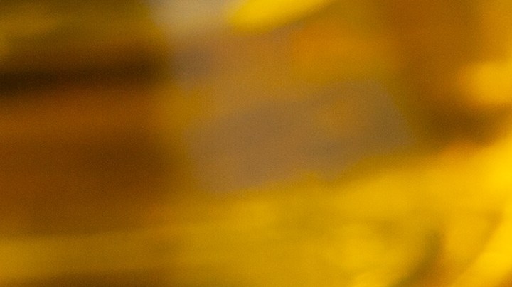 Osobuco con salsa de tomate