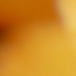 Milanesa de pollo empanizada con salsa bbq