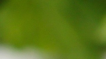 Pechugas de pollo a la plancha con salsa de champiñones