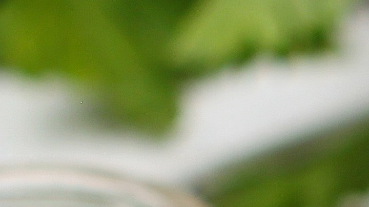 Pechugas de pollo a la plancha con salsa de champiñones