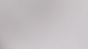 Milanesa de pollo empanizada con salsa de vino blanco