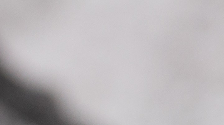 Milanesa de pollo empanizada con salsa de vino blanco