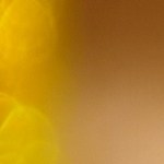 Alambre de cerdo con piña