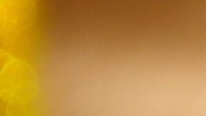 Alambre de cerdo con piña