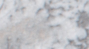 Milanesa de pollo empanizada con pico de gallo