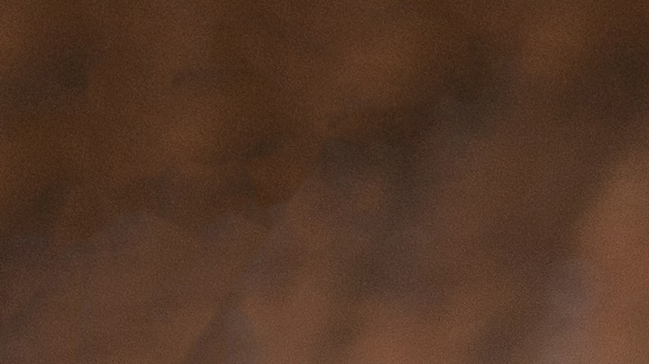 Osobuco con risotto alla milanese