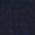 Pechugas de pollo a la plancha con tomate y albahaca