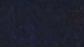 Pechugas de pollo a la plancha con tomate y albahaca