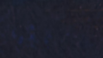 Pechugas de pollo a la plancha con tomate y albahaca