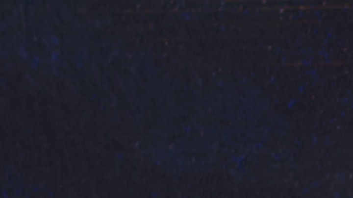 Pechugas de pollo a la plancha con tomate y albahaca