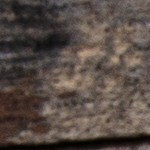 Pechugas de pollo a la plancha con especias marroquíes