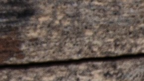 Pechugas de pollo a la plancha con especias marroquíes