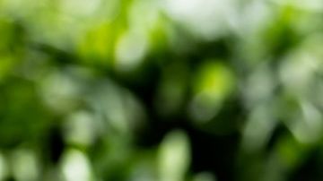 sopa campesina de verduras con arroz