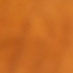 Tacos dorados de frijoles