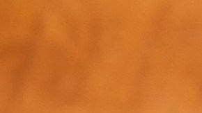 Tacos dorados de frijoles