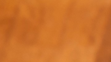 Tacos dorados de frijoles