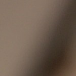 Plato con taco dorado de pollo en salsa de frijol y decorado con aguacate y salsas