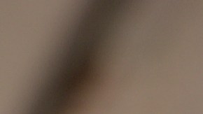 Plato con taco dorado de pollo en salsa de frijol y decorado con aguacate y salsas