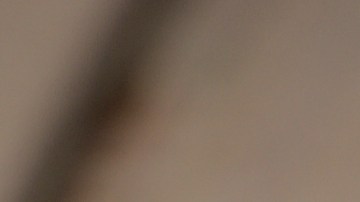 Plato con taco dorado de pollo en salsa de frijol y decorado con aguacate y salsas