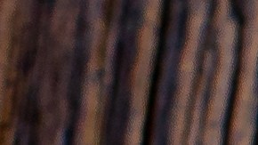 Tacos dorados de picadillo