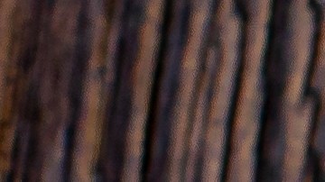 Tacos dorados de picadillo