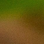 rubs para carne y pollo